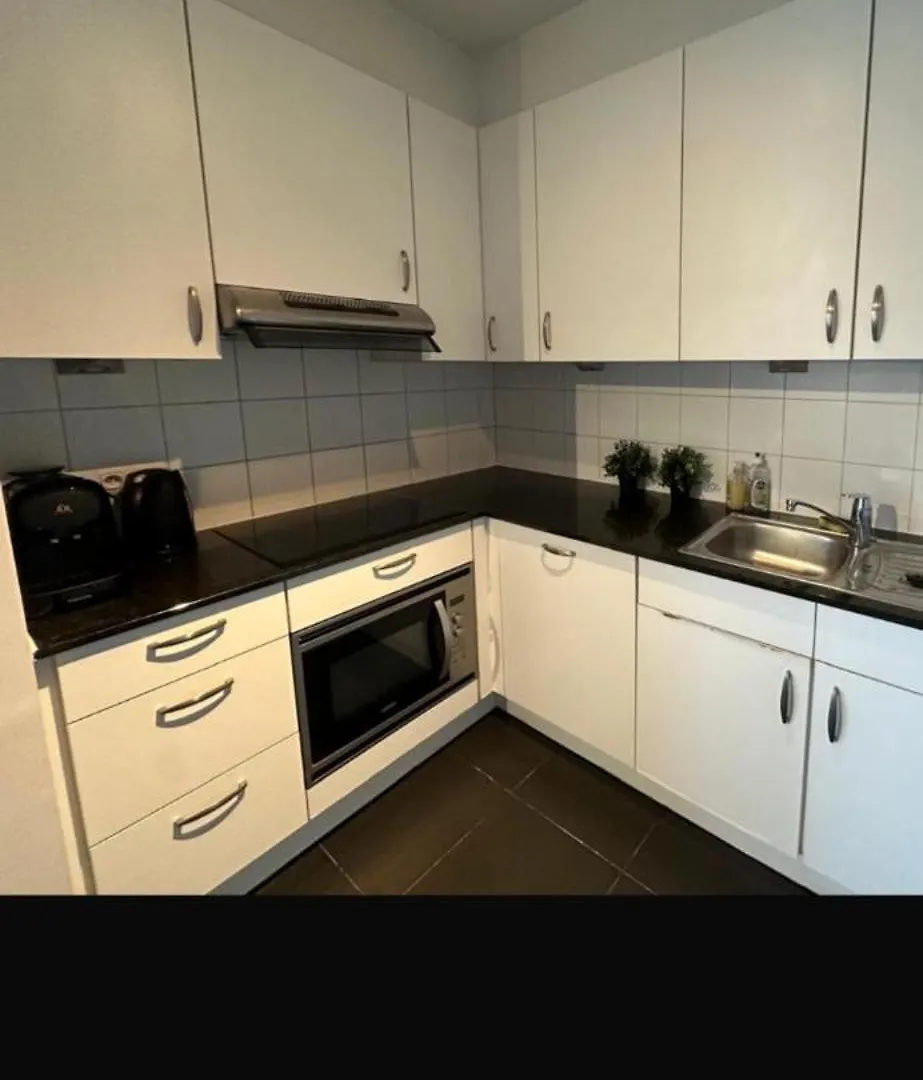 Apartment With Balcony In Brussels Center Bélgica